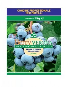 concime Berry Verona